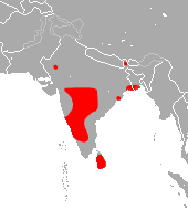 File:Indian Roundleaf Bat area.png