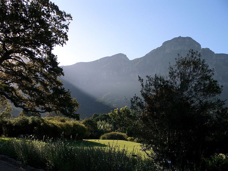 File:Table mountain kirstenbosh gardens.jpg