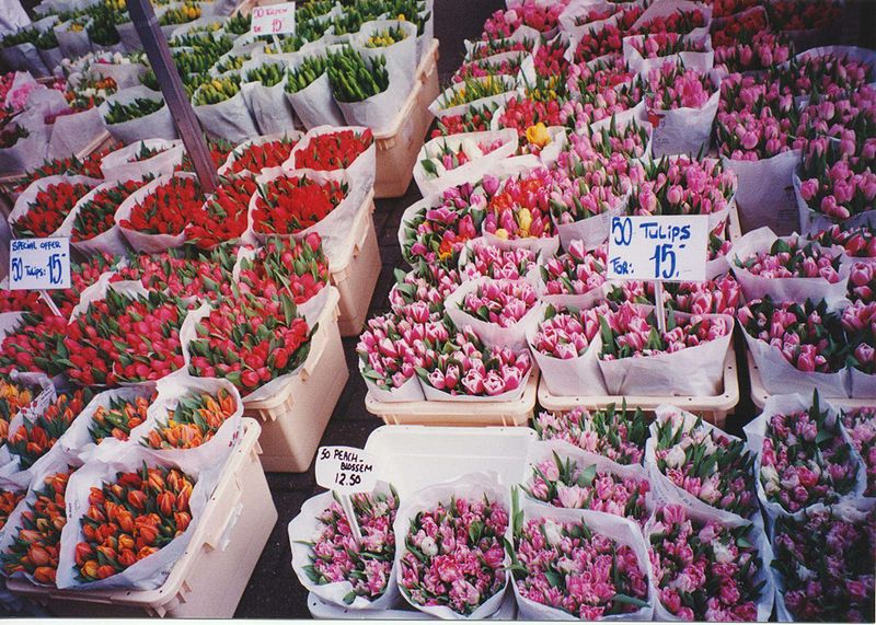 File:Amsterdam-tulip-market.jpg