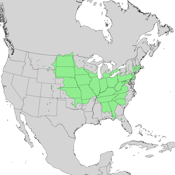 File:Prunus americana range map 1.png