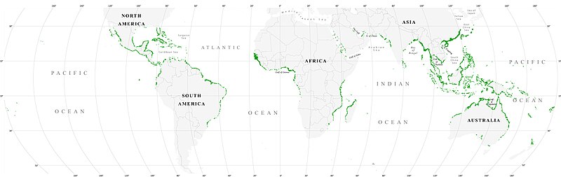 File:World map mangrove distribution.jpg