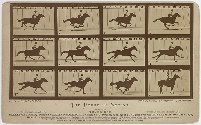 File:Eadweard Muybridge-Sallie Gardner 1878.jpg