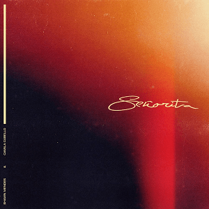 File:Shawn Mendes and Camila Cabello - Señorita.png