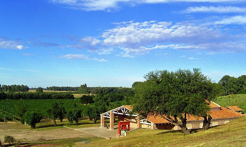 File:View of Al Este Bodega y Vinedos.jpg