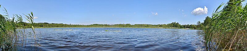 File:Zhorany Kovelskyi Volynska-Zhorany Lakes Reserve-Orikhivske lake-panorama.jpg