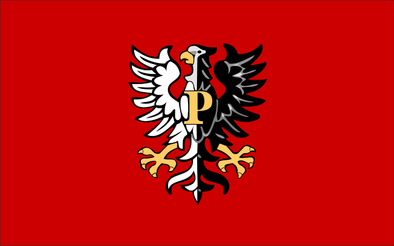 File:POL powiat płocki flag.svg