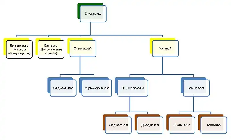 The family tree of Bzhedug tribe of Circassian nation