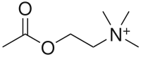 Strukturele formule van Asetielcholien