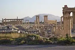 Die historiese terrein Palmyra.