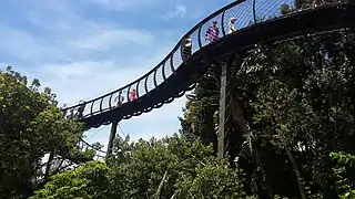 Boomslang, Tree canopy walkway, Arboretum