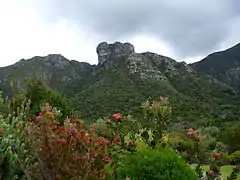 Castle Rock vanaf Kirstenbosch