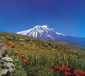 Damavand in die somer