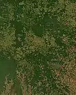 ’n Nasa-satellietfoto van ontbossing in die deelstaat Mato Grosso van Brasilië.