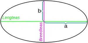 'n Ellips met die lengte- en breedteas aangedui.