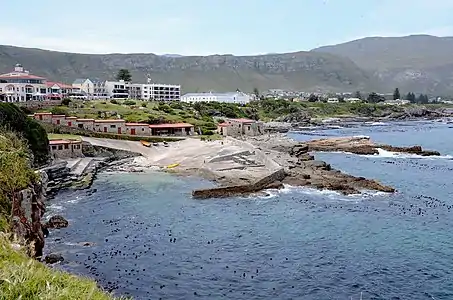 Hermanus se ou hawe