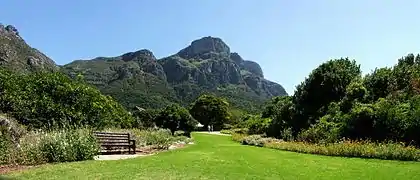 Uitsig oor Tafelberg vanuit die Kirstenbosch Botaniese Tuine