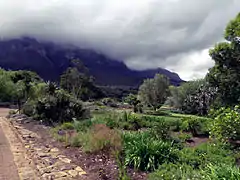 Tafelberg sigbaar in die agtergrond met die kombers van wolke oor.