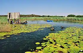 Die oog van die Maricorivier, suid van Groot Marico