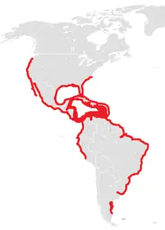 Distribution map