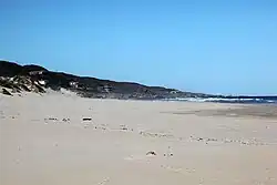 Die oostekant van die baai.