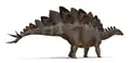 Die Stegosaurus was een van die mees herkende genera en het in die Middel-Jura geleef.