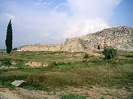 Algemene uitsig op die sitadel van Tiryns.