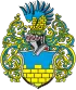 Escudo d'armas