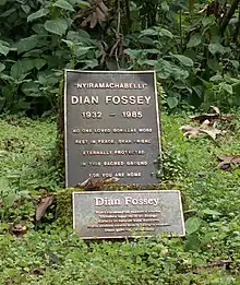 Fosal de Dian Fossey en Ruanda.