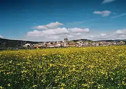 Anvista de Malpartida de Corneja