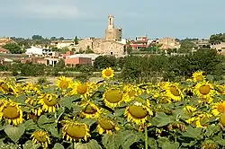 Anvista de Parlavà