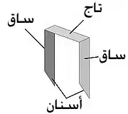 الرسم البياني لدبوس الدباسة الشائع