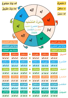 دائرة المشتبه