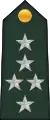 Général d'armée(Central African Ground Forces  [لغات أخرى]‏)