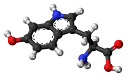 5-هيدروكسي التريبتوفان