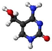 Ball-and-stick model of the 5-hydroxymethylcytosine molecule