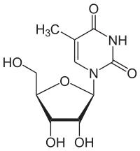 Skeletal formula of 5-methyluridine