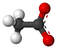 نموذج الكرة والعصا of the acetate anion