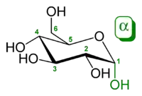 α-D-glucopyranose (تشكلات حلقي الهكسان)