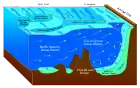 Antarctic bottom water