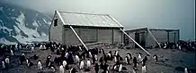 Two wooden structures surrounded by penguins. The larger, on the left, has a pitched roof and is supported by timber braces. The smaller, on the right, has no roof. Snowy slopes are visible in the background.