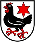 Finsterhennen