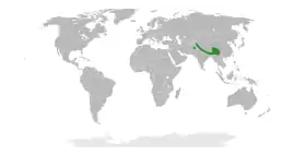 Range of the section Bracteolatae