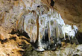 Carlsbad Cave (Carlsbad Caverns National Park - New Mexico, USA)