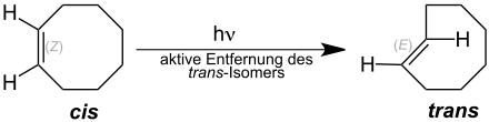 Photochemische Synthese von TCO Fox