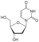 Skeletal formula of deoxyuridine