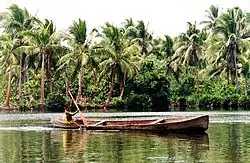 القارب الشجري نوع القوارب المسطحة القاع في جزيرة سليمان (Solomon Islands)