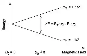 Splitting of electron spin states