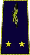 général de brigade aérienne