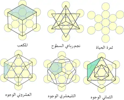 مكعب ميتاترون مستخرج من فاكهة الحياة مظهرا تولد أصلاب أفلاطونية