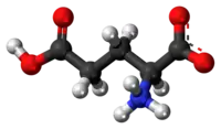 حمض الجلوتاميك
